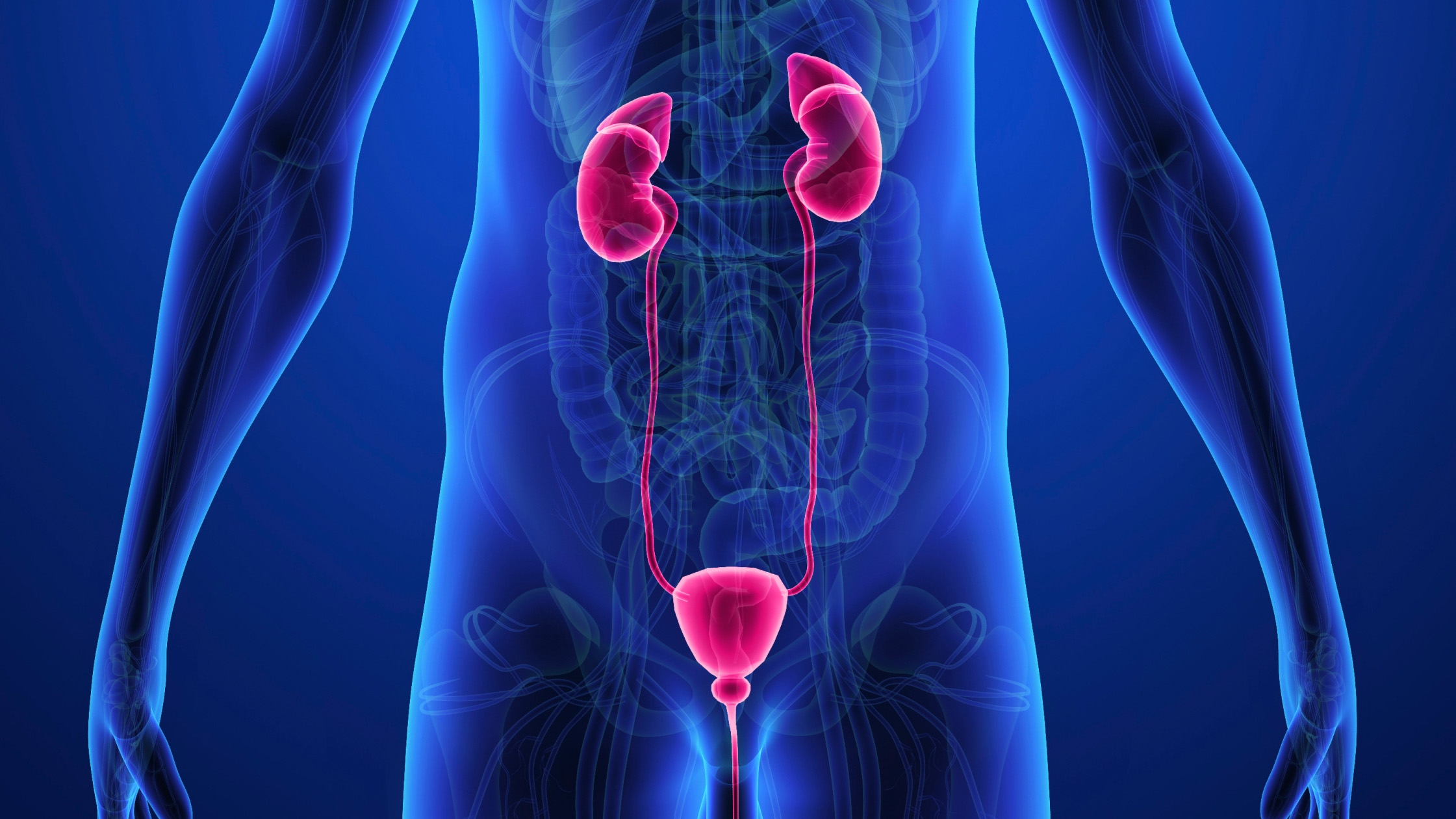 urology_135489